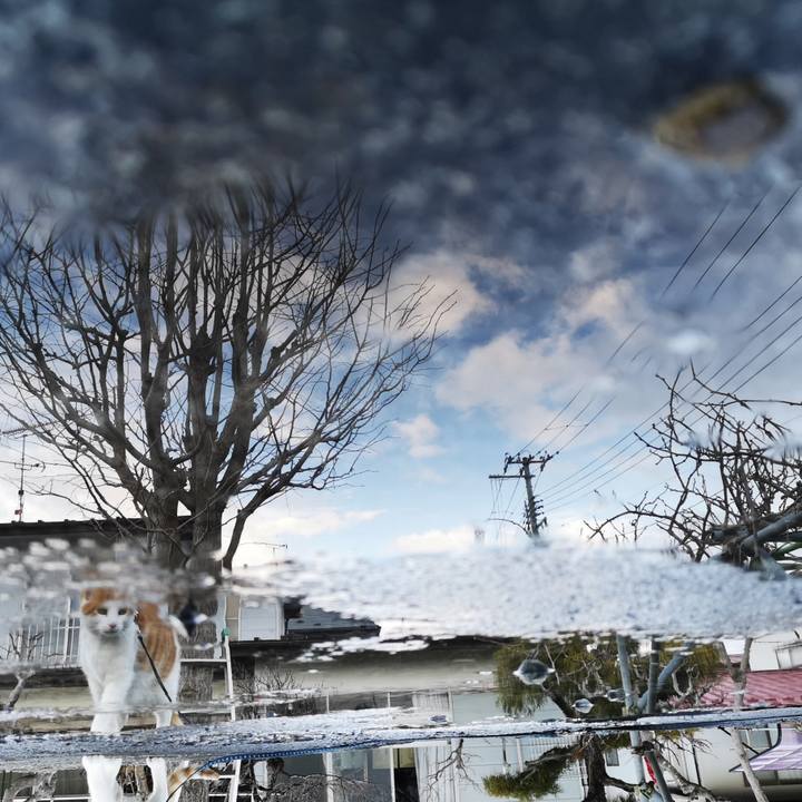 2ea15531 979f 4220 b8bb b625b36da2ab 1554028684851