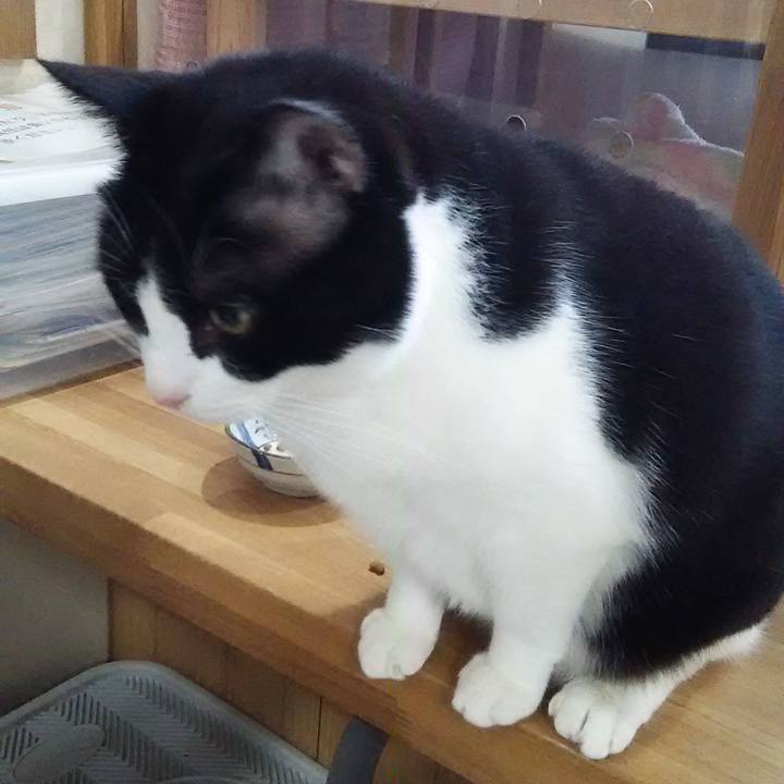 2ea17518 48de 4153 a951 9ec0e99f6120 1547807588570