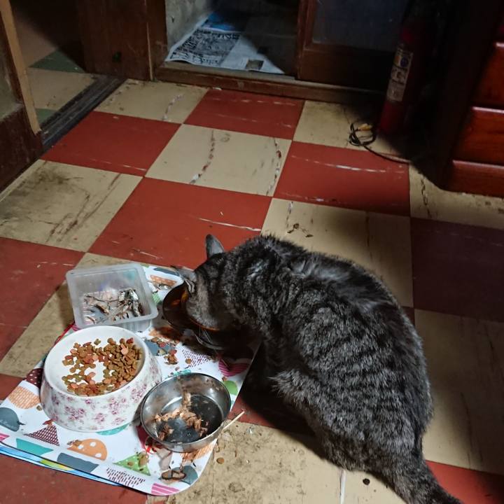 2ea17b9f f376 4467 af0d bdeaecebd73c 1591474826061