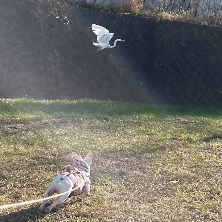 2ea1830c 6ab1 4b74 a7b4 2f73dde89b55 1768137062326