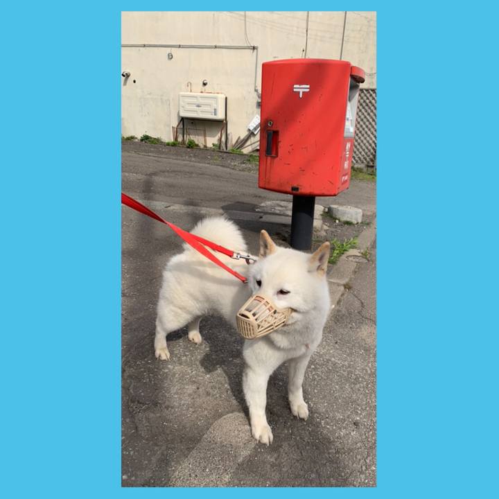 2ea18d00 550c 48c7 97b7 d186823989fe 1556604755097