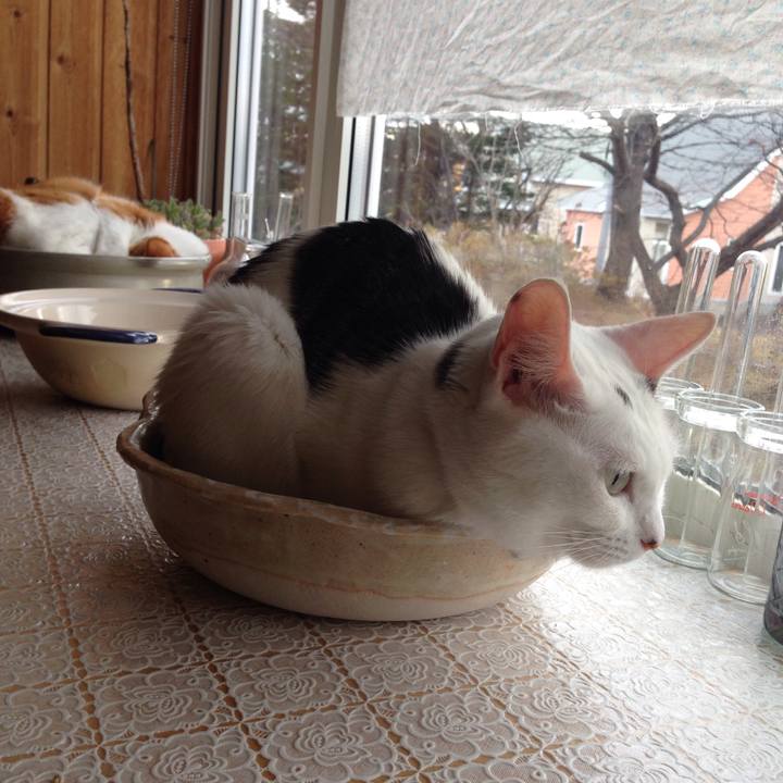 2ea1a9ed 7634 4656 afda 57fea44c0c39 1511392445452