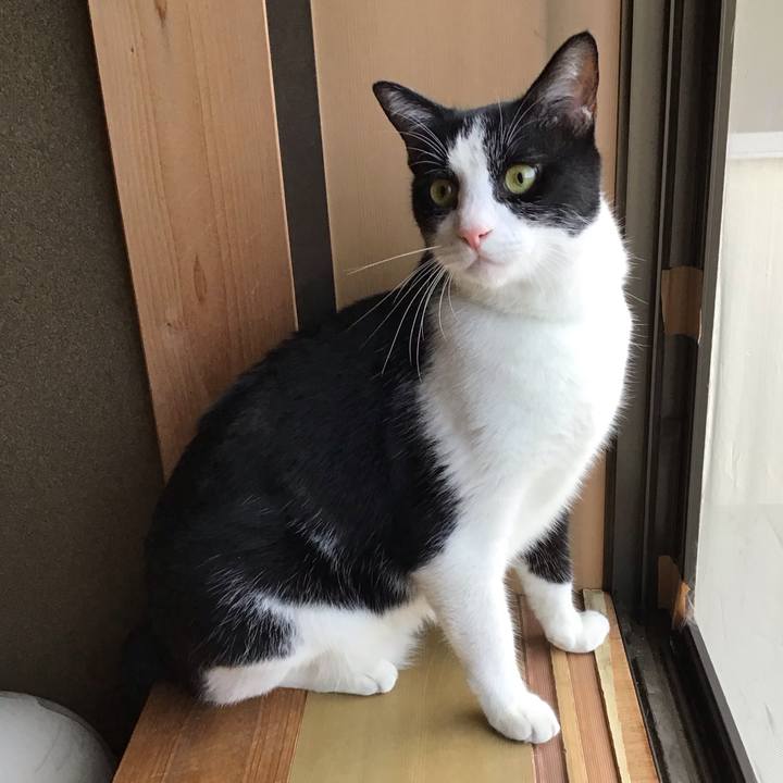 2ea1d6ae ac29 42b7 9fdb 73534ee6b467 1725523065617