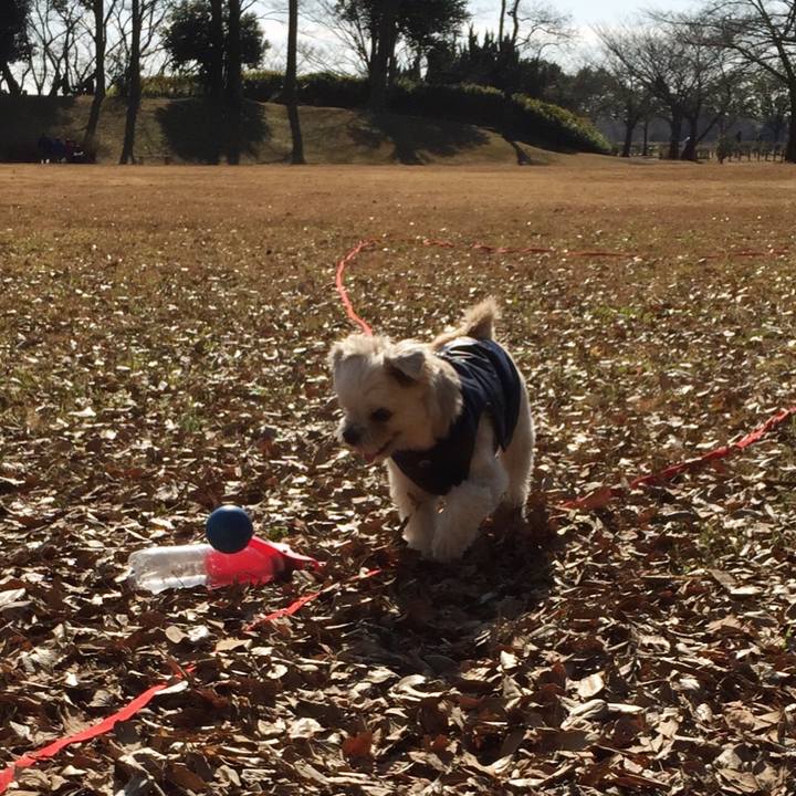 2ea1df17 d556 41db 99c0 d9aaf2fa64ef 1549181433810