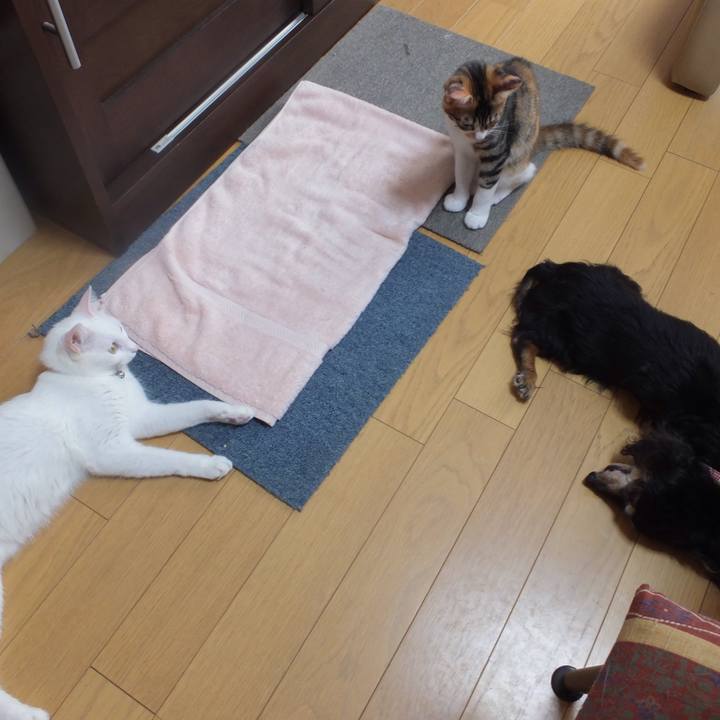 2ea22fe2 7370 4f67 95fa 26696c774dc5 1632702164392