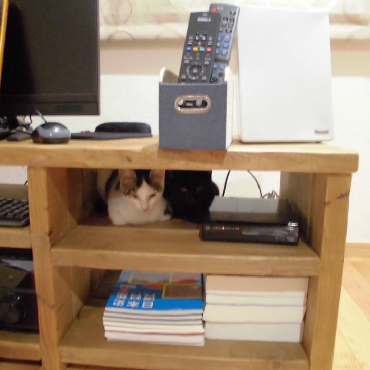 2ea24444 71f1 4925 9a69 d937d0dc6b9a 1591055506518