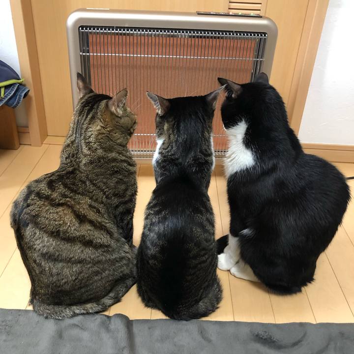 2ea25fb2 114c 4d7d b62e b9eead57e276 1577788984716