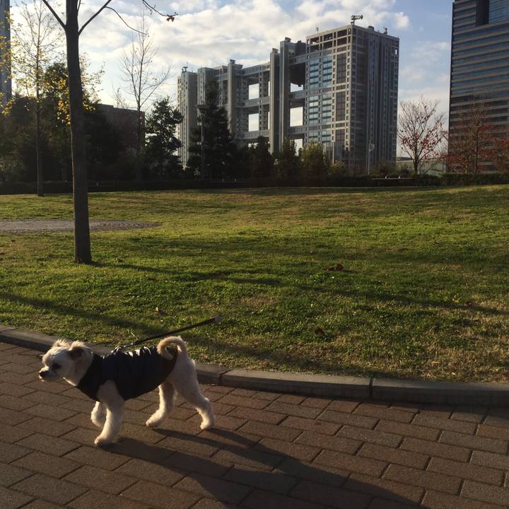 2ea264fd 9449 456d a252 99b6359314fc 1544267189361