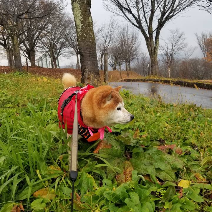 2ea278fc d2b9 416b 81e2 2c1f51738e67 1668925033745