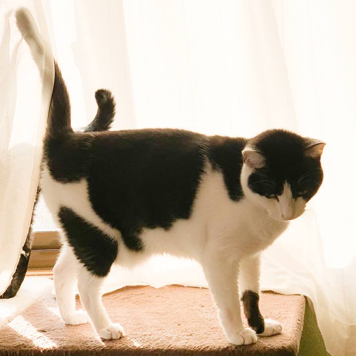 2ea279f3 e39b 4eae 9cb2 43778a40c79d 1575773907750