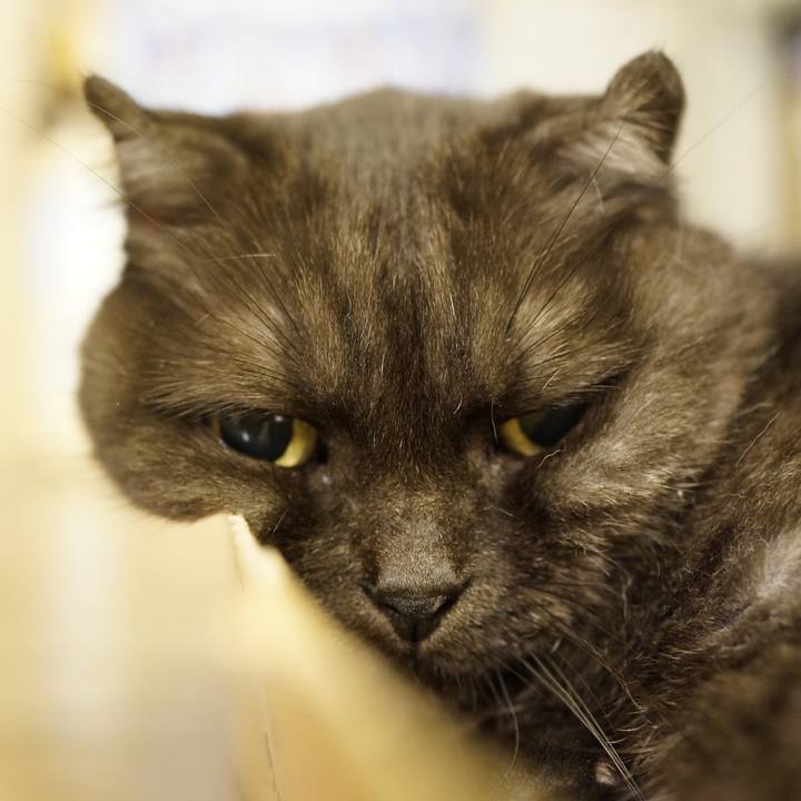 2ea2b377 5777 441c b5c4 42a74fca86a6 1630452595564