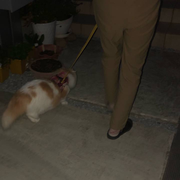 2ea2b5c3 4150 4e28 81a5 adf98cae34a6 1686309071426