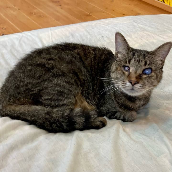 2ea2bb4f c38a 46cd 912f d5f04aabb46f 1679635110386