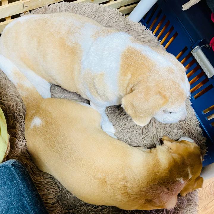 2ea35091 49b2 4ca4 ab48 f8d65711b57e 1634038722334