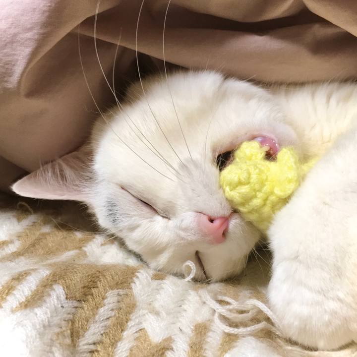 2ea35942 5ef1 4e6f 863f edf8991edf43 1614238316286