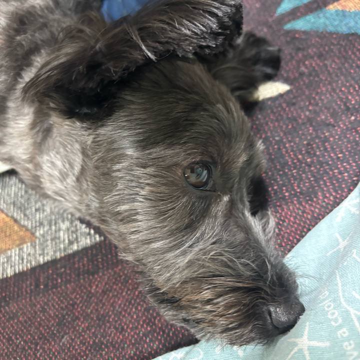 2ea3714a 1ee4 479d 9722 eaca54cdbe79 1755521229267