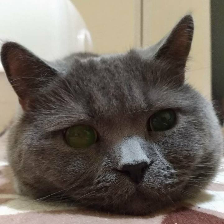 2ea378de a284 468e aa57 e368dcecf547 1552115144907