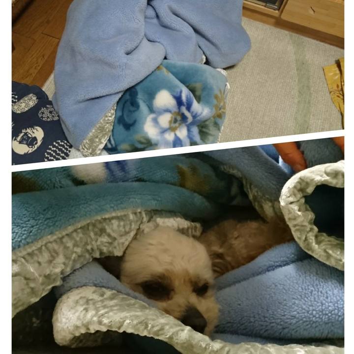 2ea38f14 85a5 4b0f 950c cdf01be2075b 1589368523644