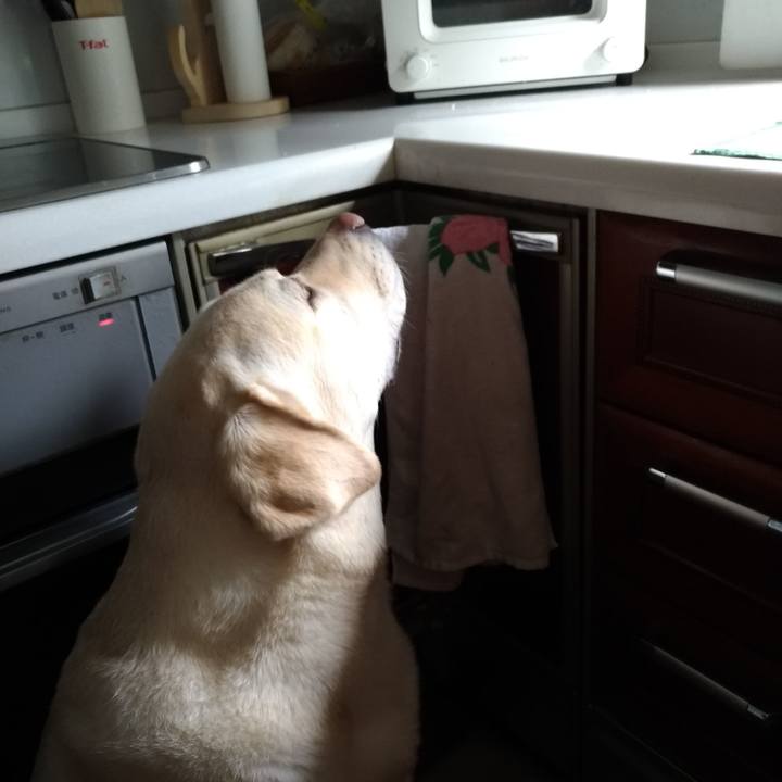 2ea3b140 be19 441b 9e07 df4660f542fb 1614914652672