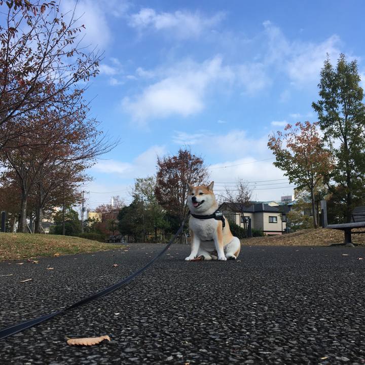 2ea3c7be f0be 4f10 b880 06cab50b1897 1574136298099