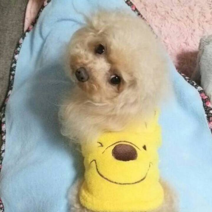 2ea4017b 7b58 4540 a17b 66b5bad69aae 1550219739297