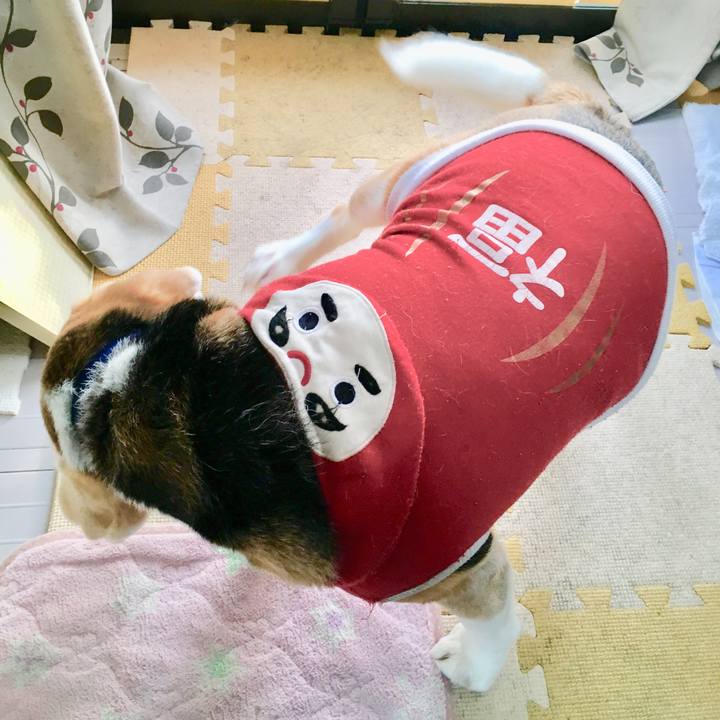 2ea43a21 9bf2 4ac8 a5bd 720559940020 1551511067175