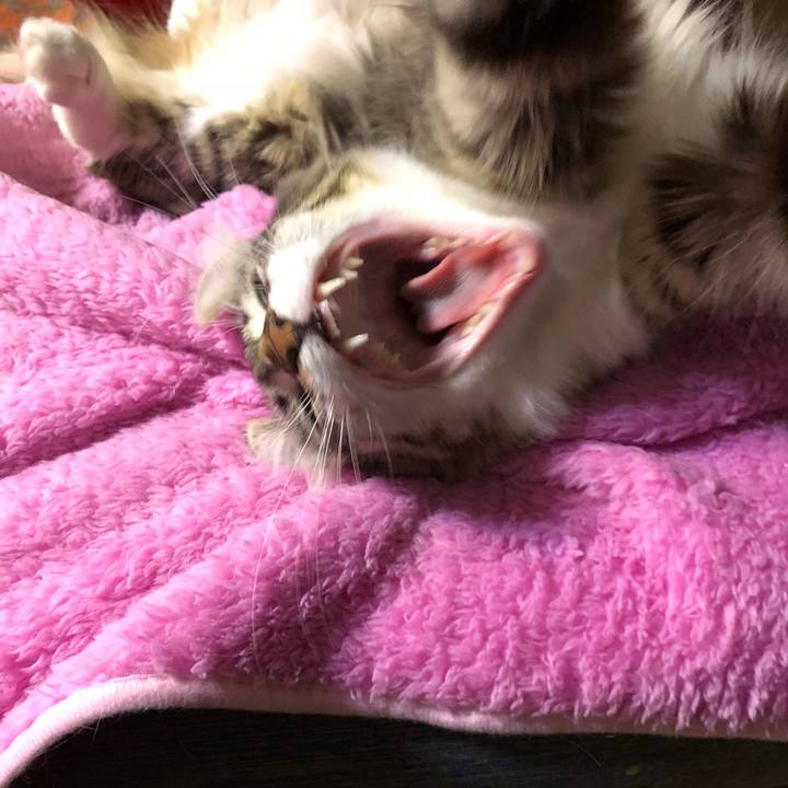 2ea47c95 5eaa 4574 a649 02323dc4c4d9 1525231305617