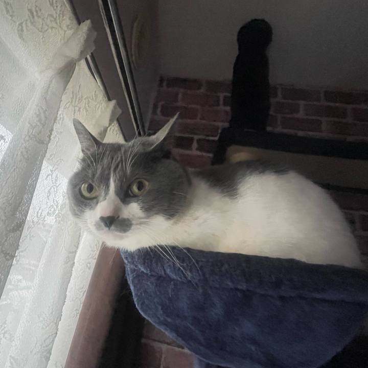 2ea4c589 7b81 419b 9e61 470b3faa95c5 1677103426913