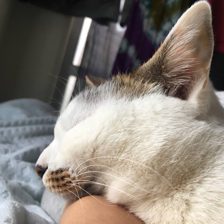 2ea4dd55 6d72 478f bbc6 d704e150e1d5 1553576966362