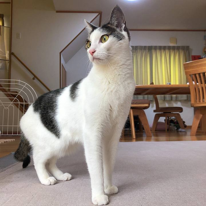 2ea53412 91c3 4aeb 912a f8b46caa54ba 1654487475461