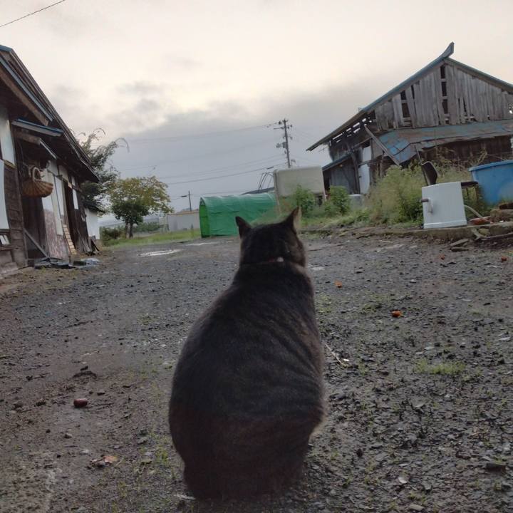 2ea544bf 5ac0 497f 80cd 0edd9f0ea64e 1664054399197