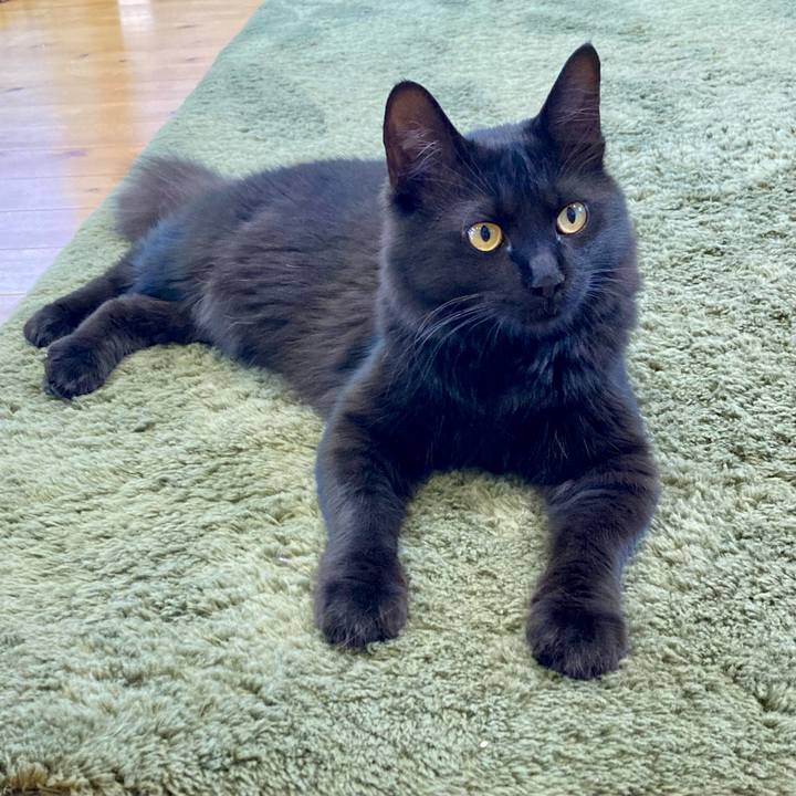 2ea54545 db23 458b a32c f093bda7cbbe 1716623938057