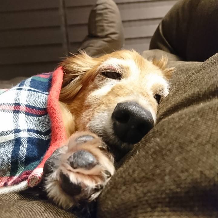 2ea56073 eb79 4e37 adea bbb69428504e 1590604015060