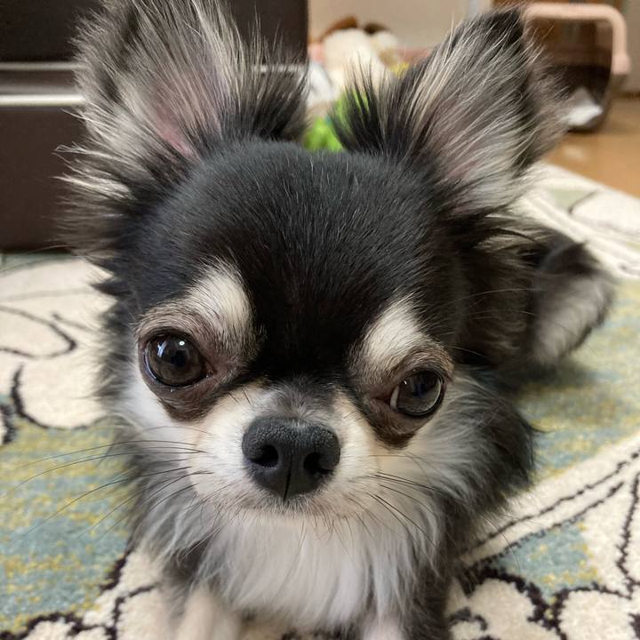 2ea57896 f4a8 4159 8979 5150b74ad427 1622950515476