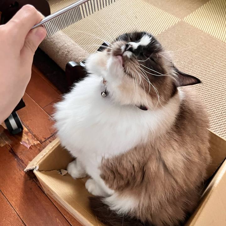 2ea5928a 3fc0 45ce b003 9352917d9aa8 1662197398674