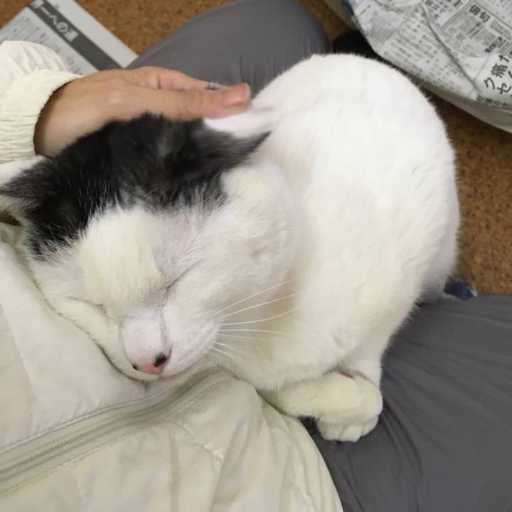 2ea59361 0ceb 46ba a2dd 2890c03900ae 1577267281010