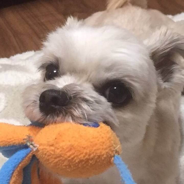 2ea5d0dc b8e4 440d b967 f46c9aaeb202 1559430844513