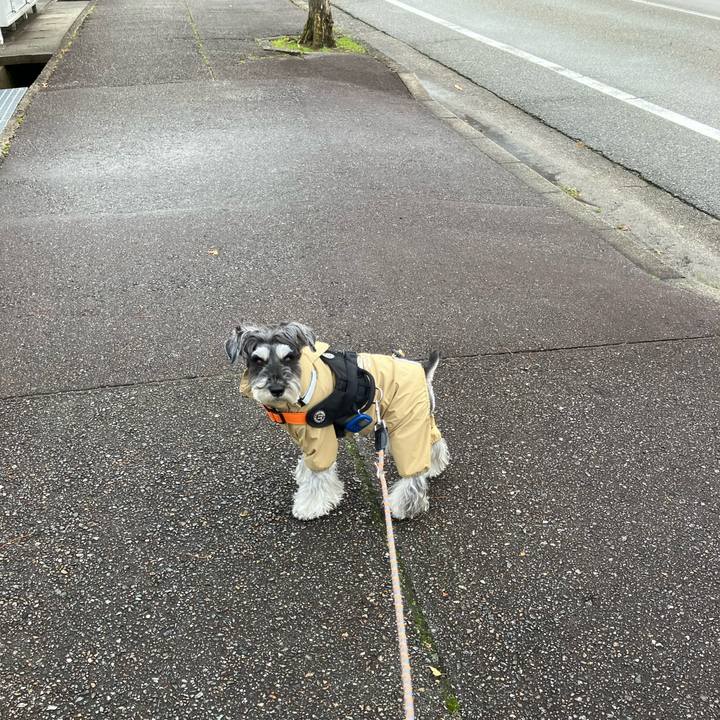 2ea5e083 0f21 491a 9829 e17b8ed9c215 1735741093062