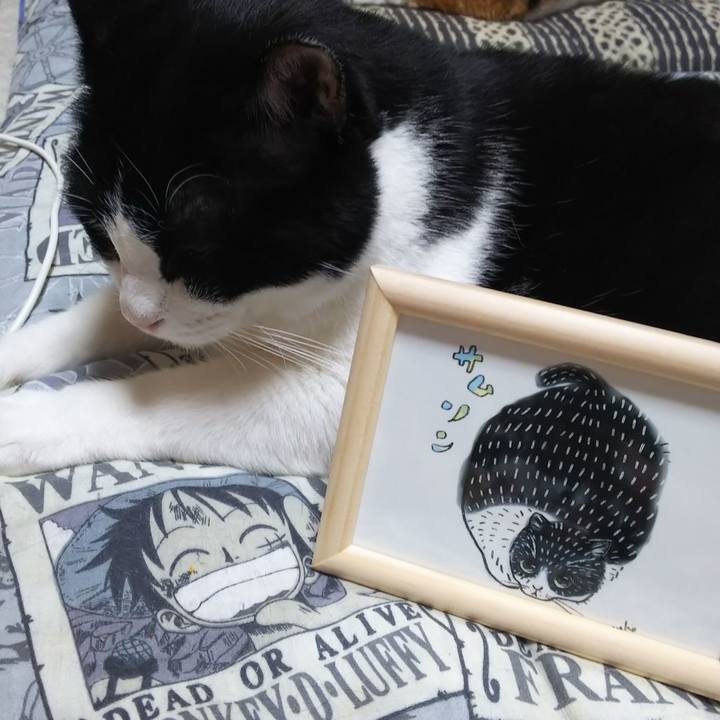 2ea5ec30 b9bc 46f2 9174 ae9863749561 1569847456716