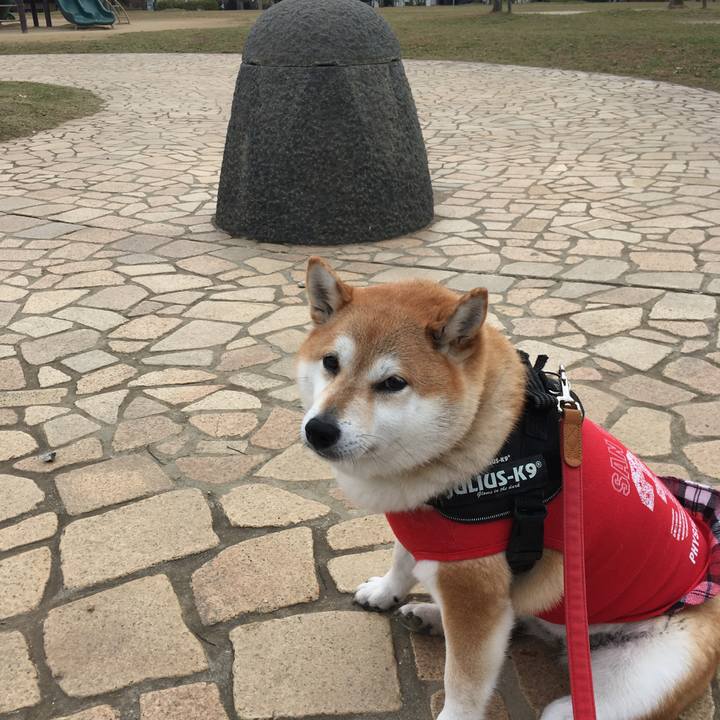 2ea618bc 62b9 4f59 91db 19869d8a435d 1606611816646