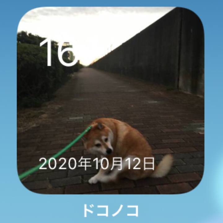 2ea624ca 406e 49a7 bbfc 8d84286cefdb 1634353218787