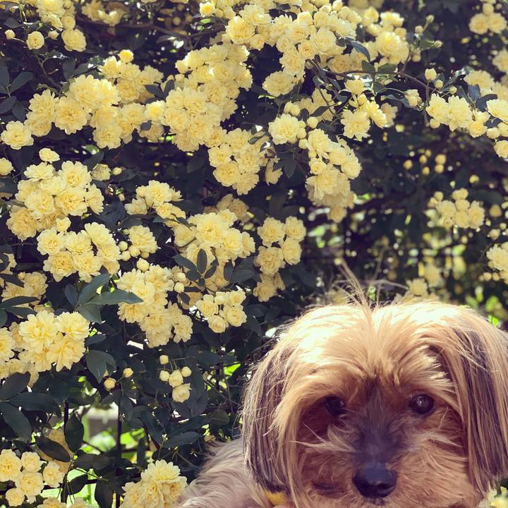 2ea65214 9f0e 4d2b 91a7 41f8ecd28211 1618715285100