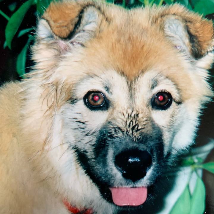 2ea6790b df2a 4bef 8d5f a290a85275f8 1566496435762