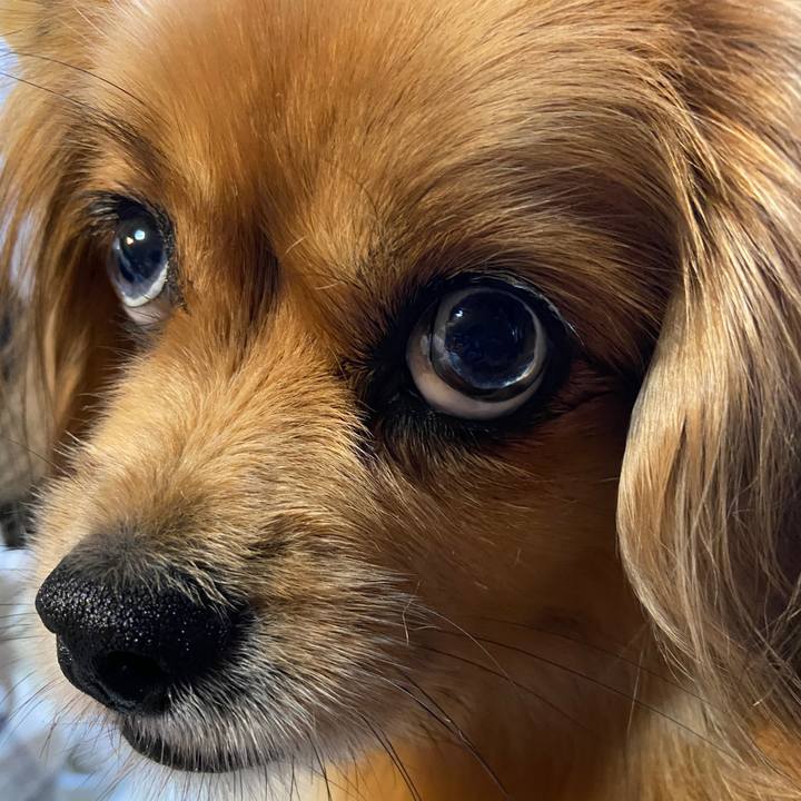 2ea69e2a fe22 4f72 8f54 c53229904360 1625174953803