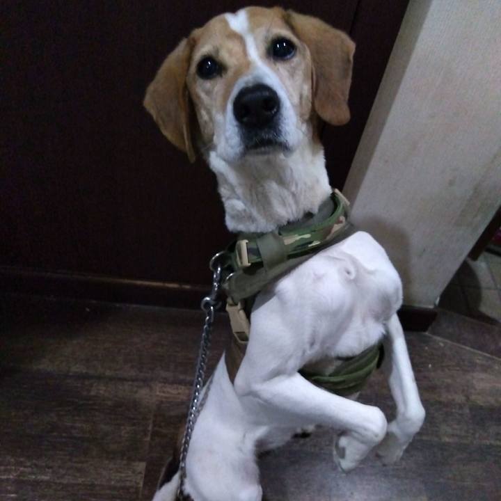 2ea6a229 98eb 41bb 9b86 4974c41287ec 1679064225620