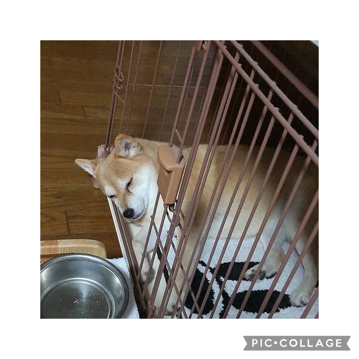 2ea6bbe3 7f32 4c55 9984 2231f6b277b2 1768035154833