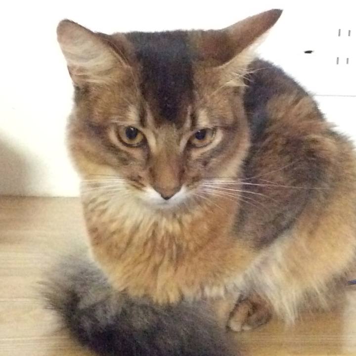 2ea6d672 47b4 4e34 98eb 7aee2e7c6b6d 1567138683665