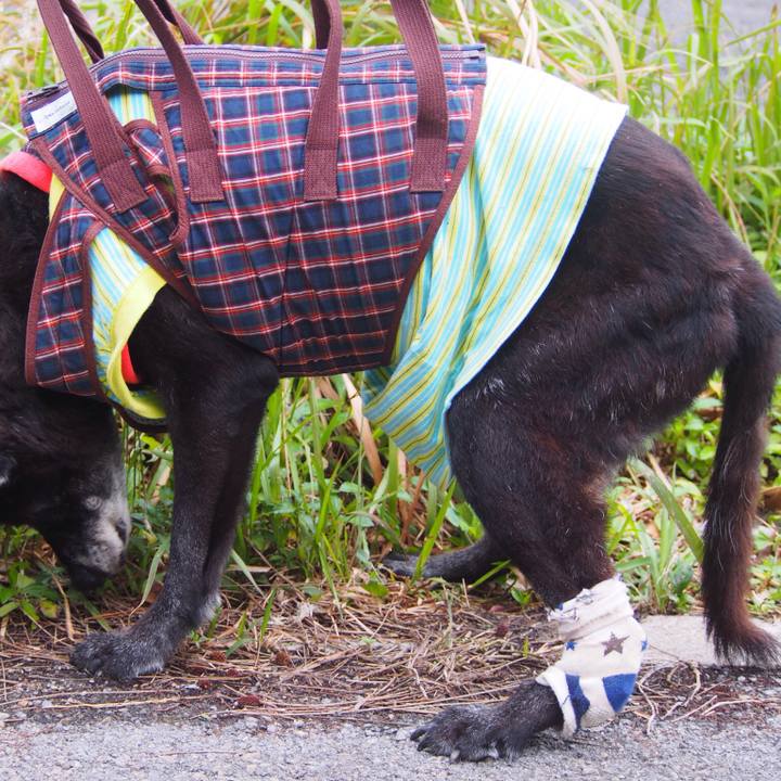 2ea70787 a65b 46b2 96d4 7dffbb28d1cd 1515211990663