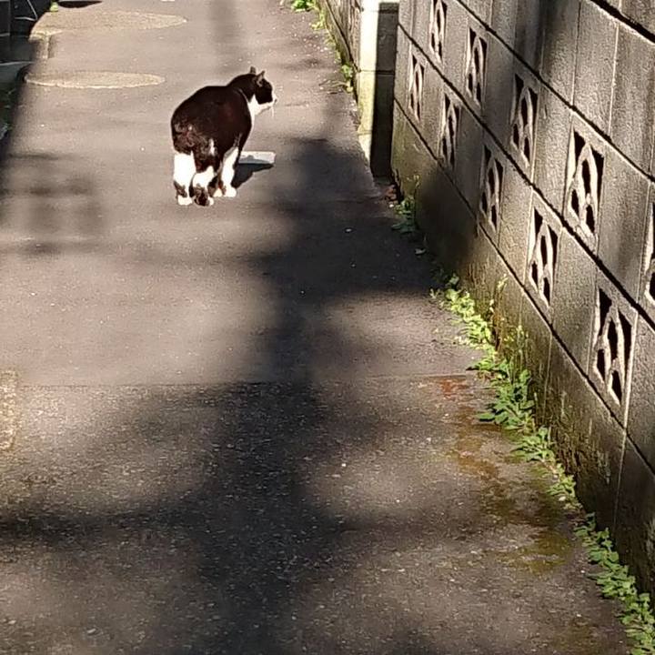 2ea72ada 0db4 4eb0 9069 7536a80a2a7b 1680318936944