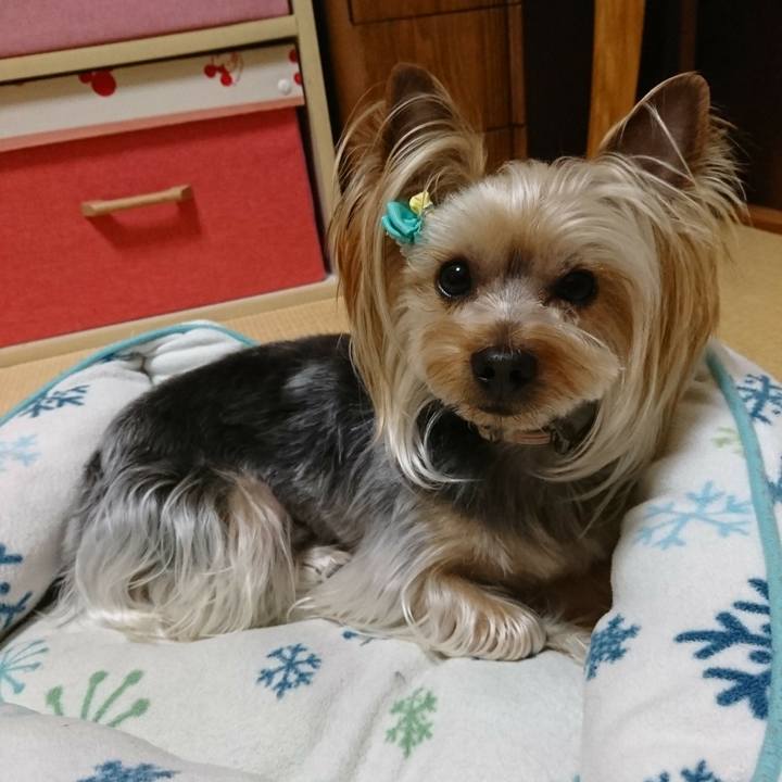 2ea72d1a 201e 49d0 9a91 a097c321f089 1553949556730